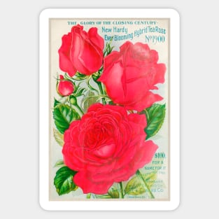 Dingee & Conard Co. Seed Catalogue Sticker